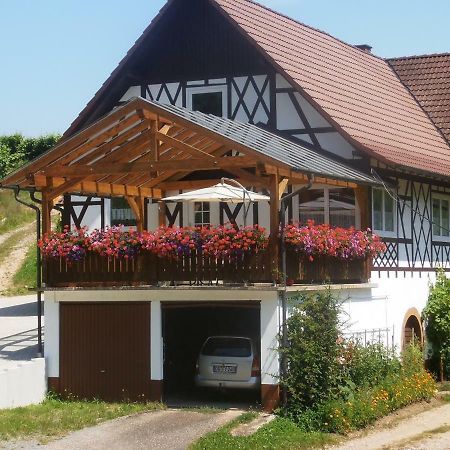 شقة Steinhof أوبركيرش المظهر الخارجي الصورة