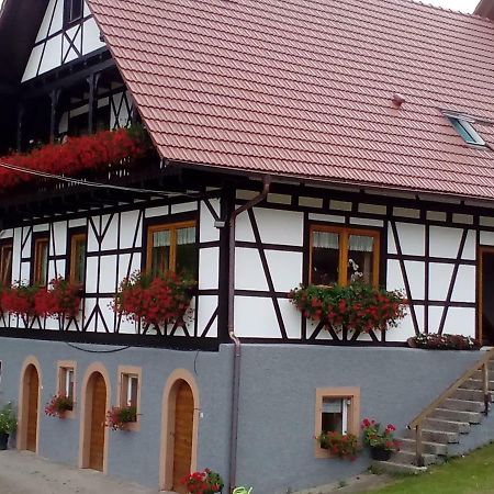 شقة Steinhof أوبركيرش المظهر الخارجي الصورة