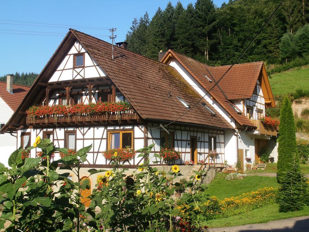 شقة Steinhof أوبركيرش المظهر الخارجي الصورة
