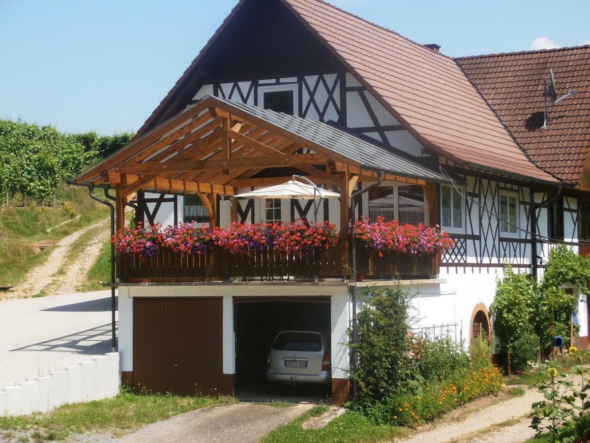 شقة Steinhof أوبركيرش المظهر الخارجي الصورة