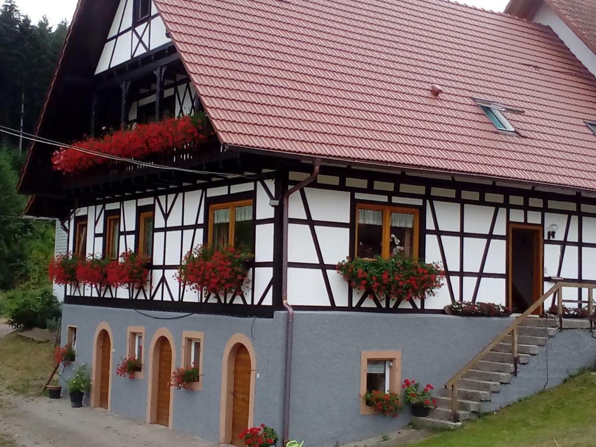 شقة Steinhof أوبركيرش المظهر الخارجي الصورة